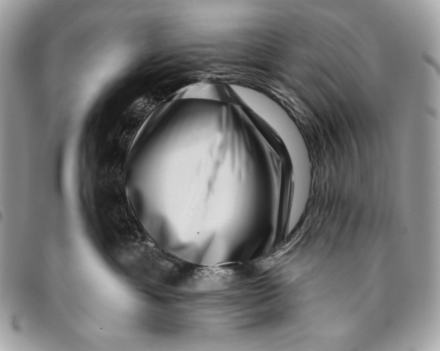 X0000096130429200802081330