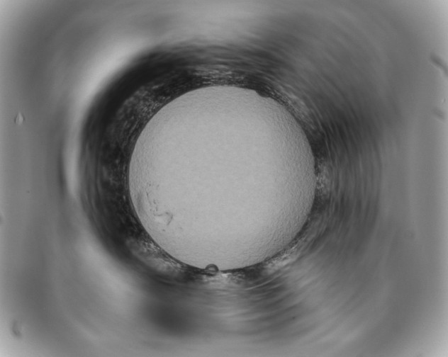 X0000096130430200802081330