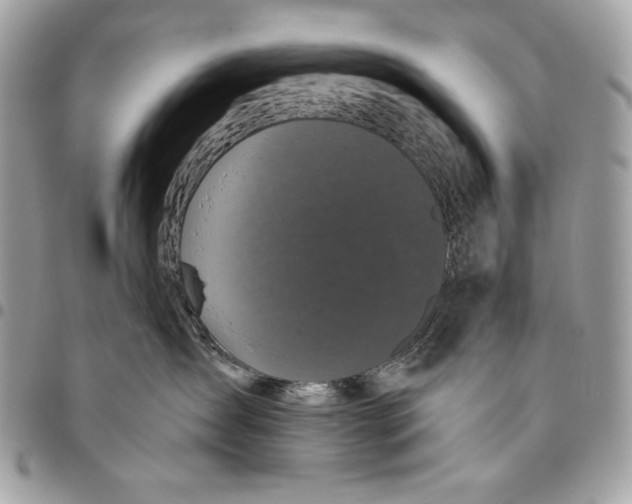 X0000096130431200802081330