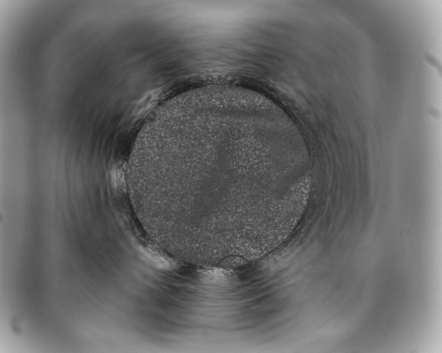 X0000096130432200802081330