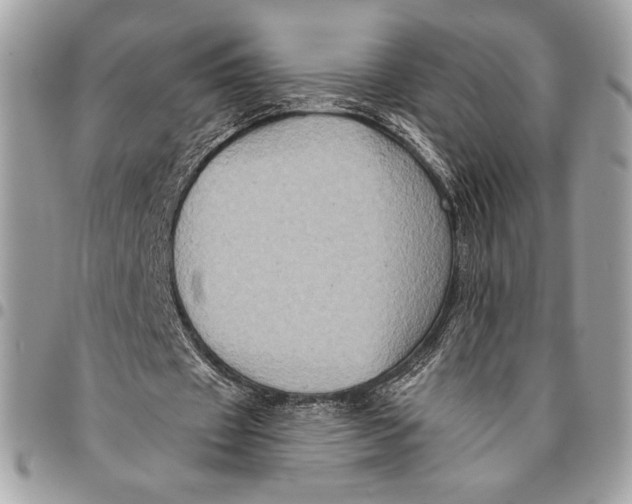 X0000096130433200802081329