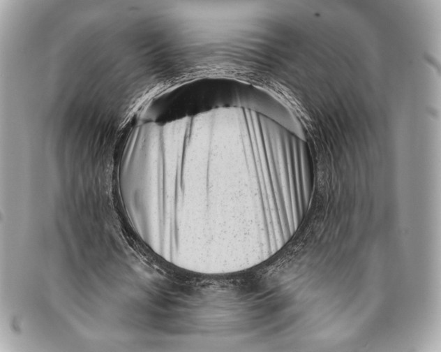 X0000096130434200802081329
