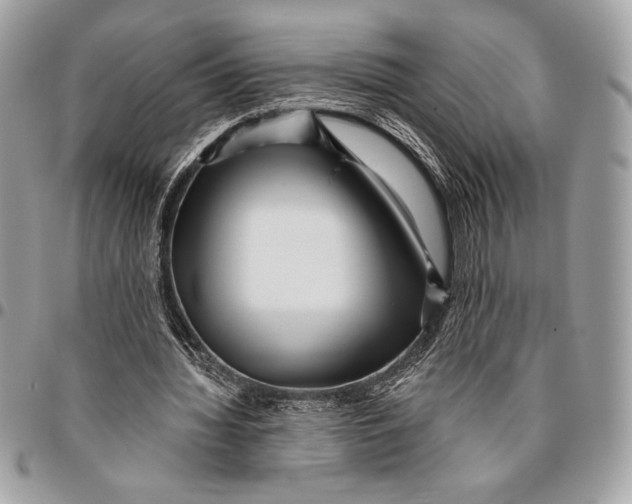 X0000096130436200802081329
