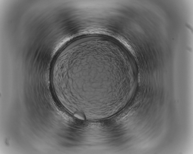 X0000096130438200802081329
