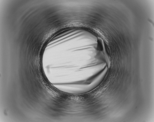 X0000096130439200802081329