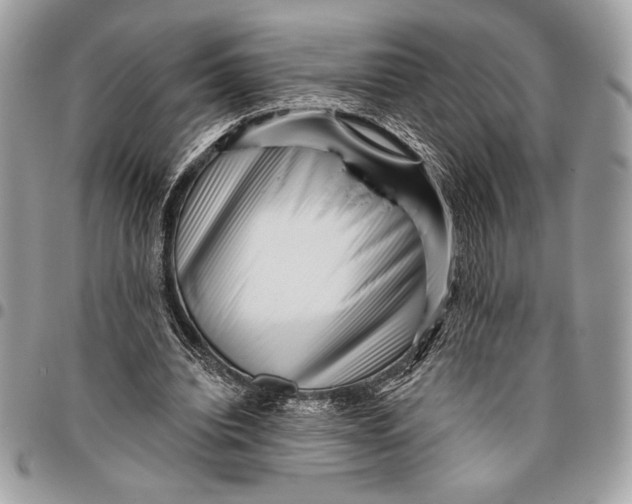 X0000096130440200802081329