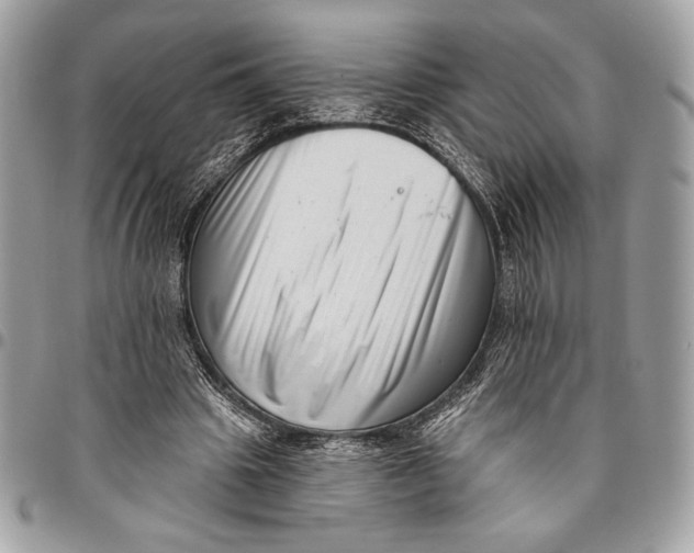 X0000096130441200802081329