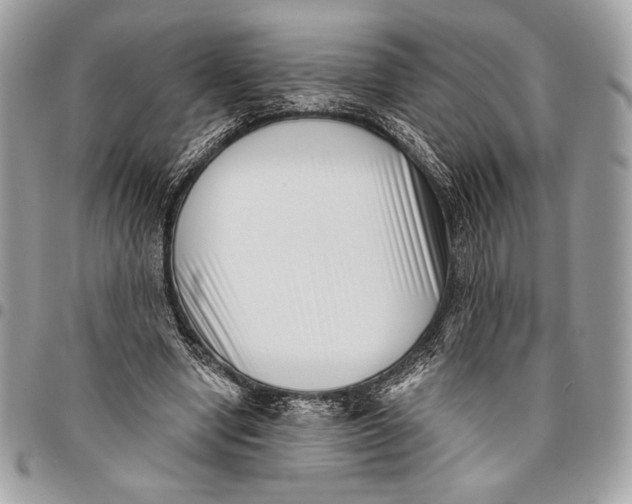 X0000096130442200802081329