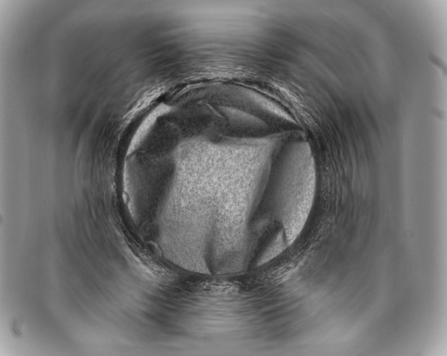 X0000096130443200802081329