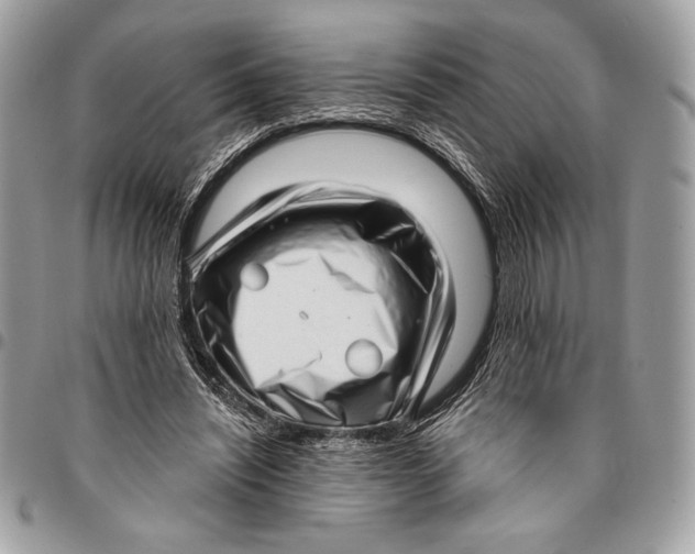 X0000096130444200802081329