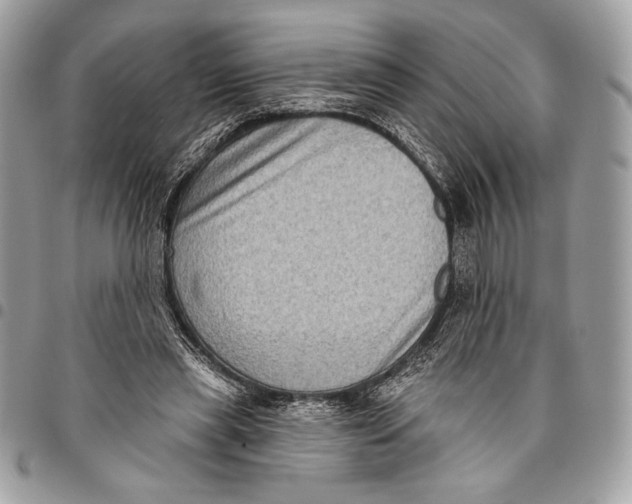 X0000096130445200802081329