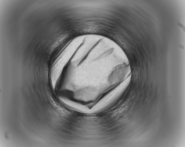 X0000096130446200802081329