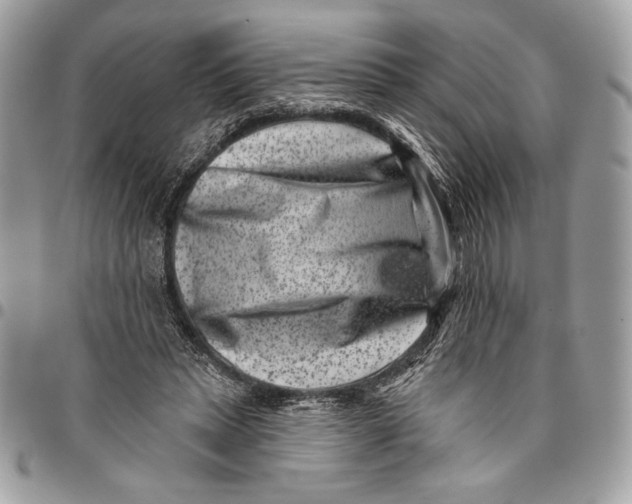X0000096130447200802081329