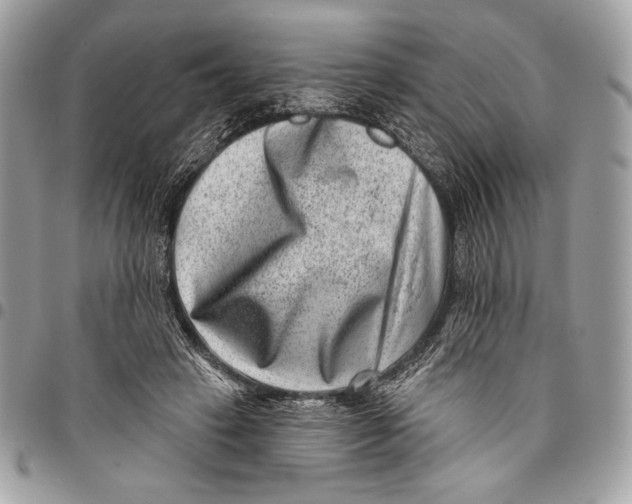 X0000096130449200802081329