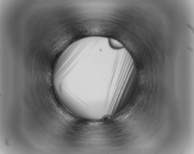 X0000096130450200802081329