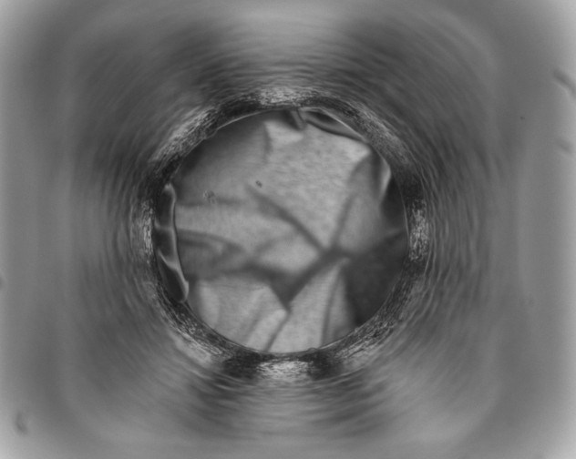 X0000096130452200802081329