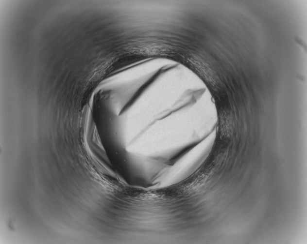 X0000096130453200802081329