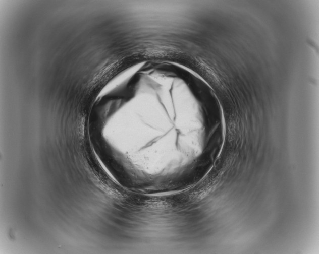 X0000096130454200802081329