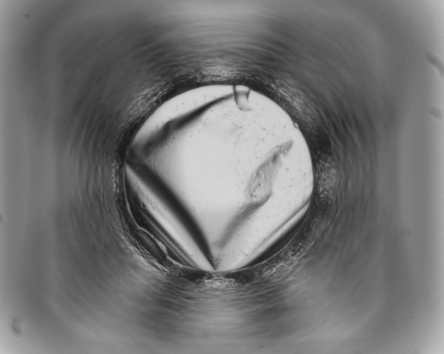 X0000096130455200802081329