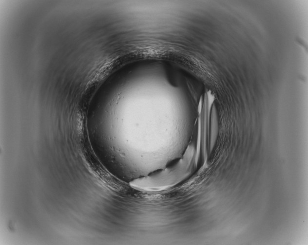 X0000096130456200802081329