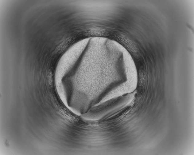 X0000096130457200802081329