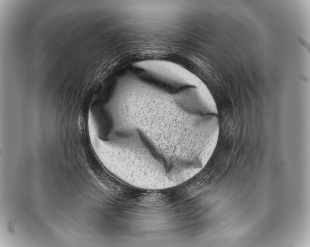 X0000096130459200802081329