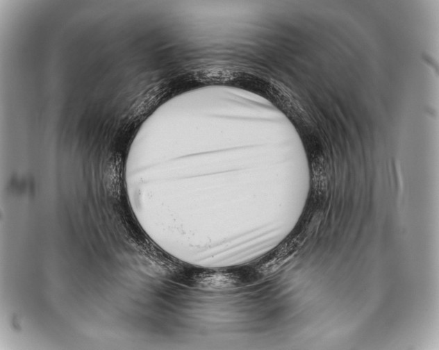 X0000096130460200802081329
