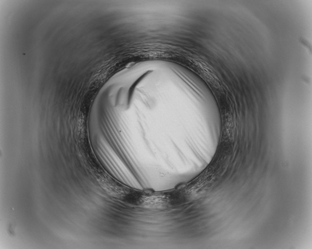 X0000096130461200802081329