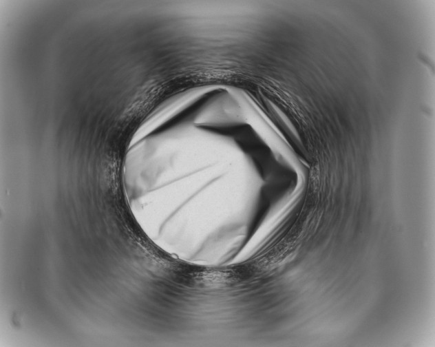 X0000096130462200802081329