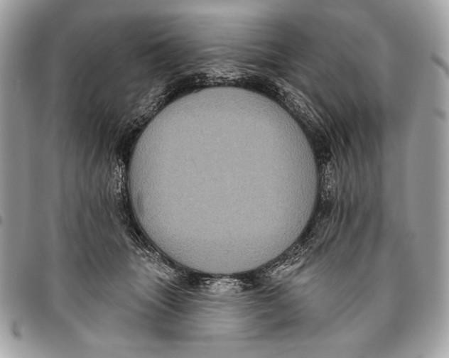 X0000096130463200802081329