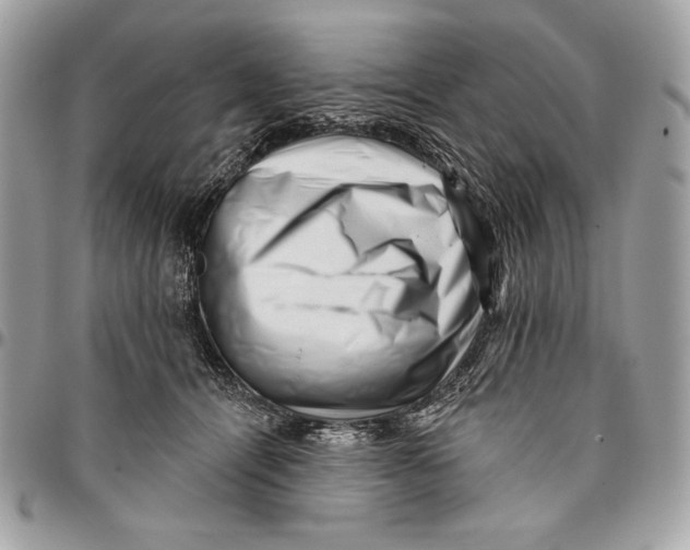 X0000096130464200802081329