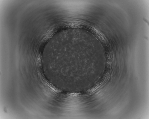 X0000096130465200802081329