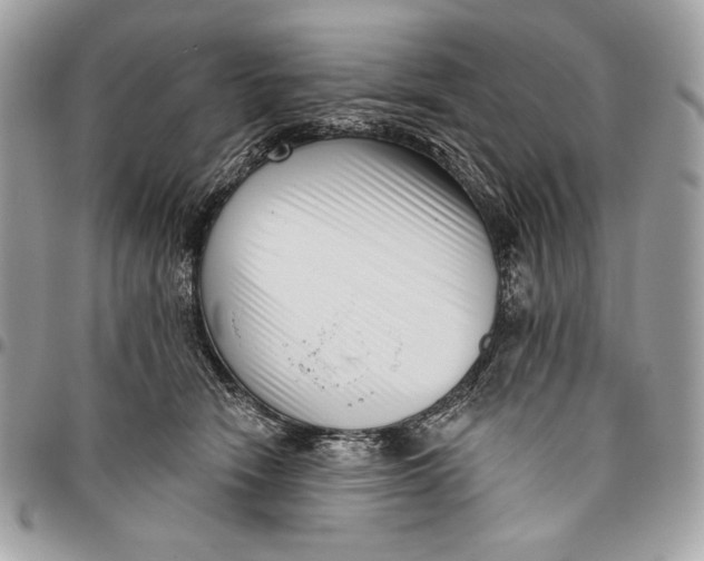 X0000096130466200802081329