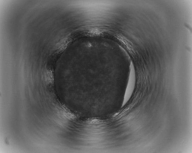 X0000096130467200802081329