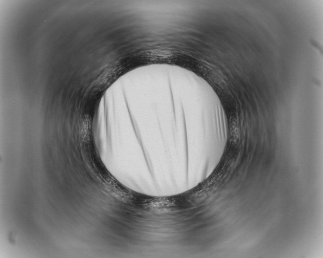X0000096130468200802081329