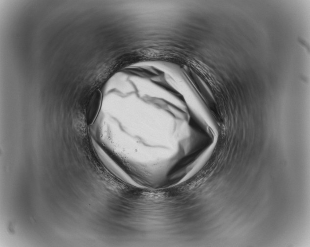 X0000096130469200802081329