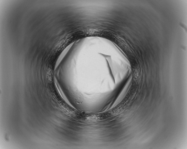 X0000096130470200802081329