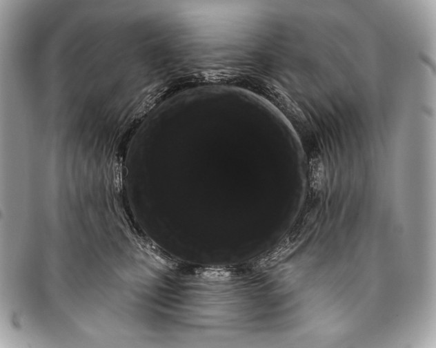 X0000096130471200802081329