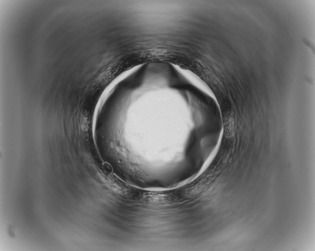 X0000096130472200802081329