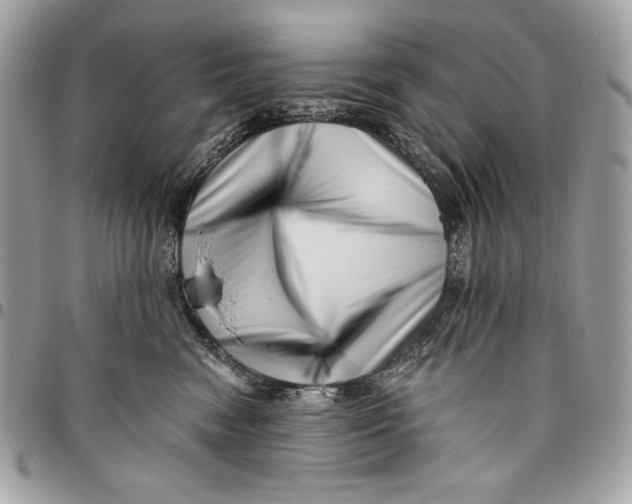 X0000096130474200802081330