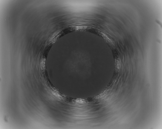X0000096130475200802081330