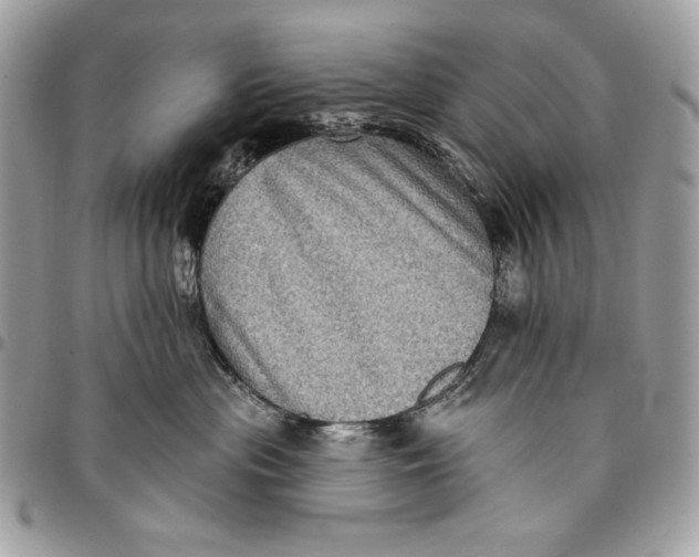 X0000096130477200802081330