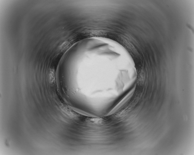 X0000096130478200802081330