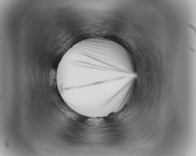 X0000096130480200802081330