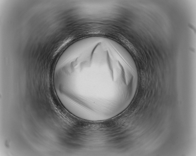 X0000096130482200802081329