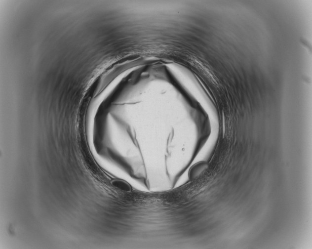 X0000096130483200802081329