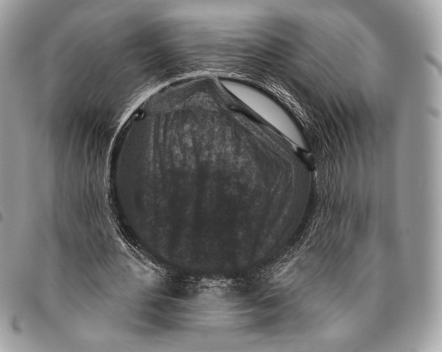 X0000096130484200802081329