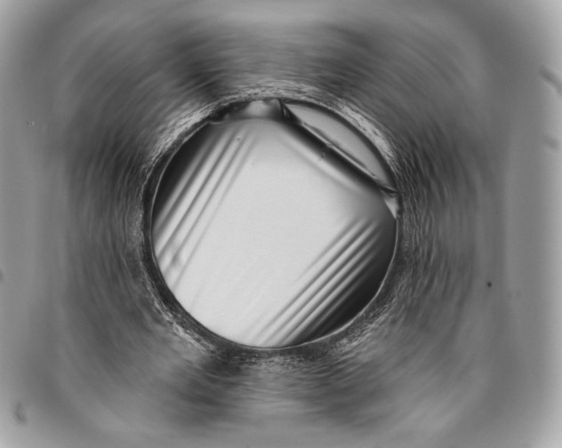 X0000096130485200802081329