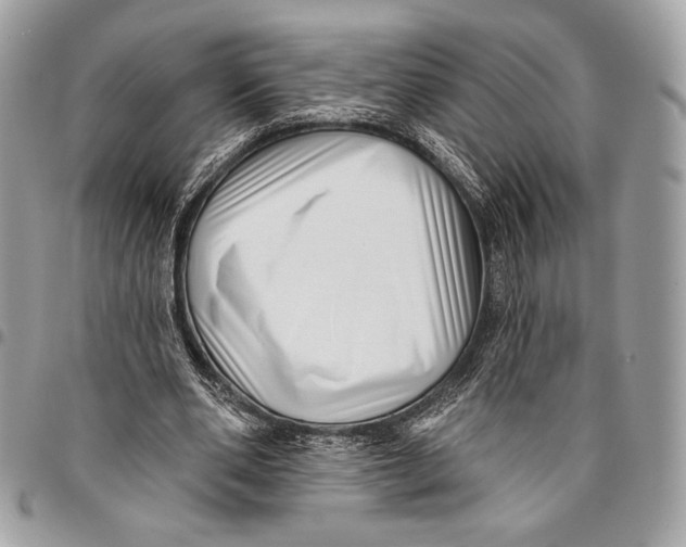 X0000096130486200802081329