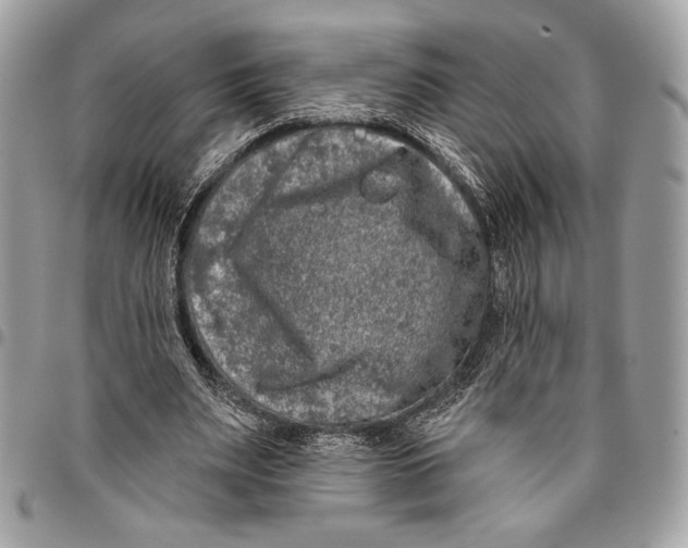 X0000096130487200802081329